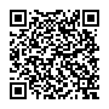 QR code for PPP713