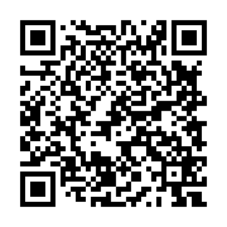 QR code for PPT869