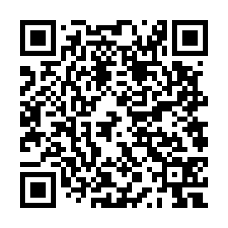 QR code for PPV534