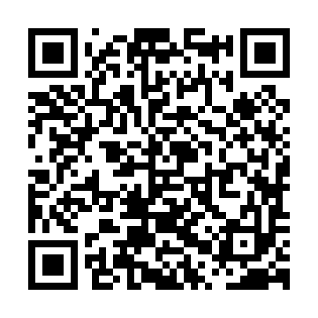 QR code for PPZ093
