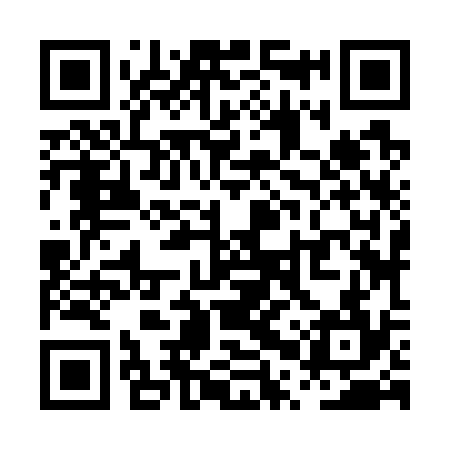 QR code for PPZ734