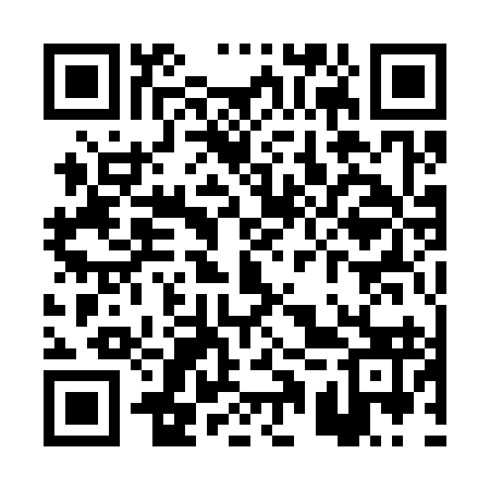 QR code for PQQ393