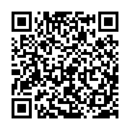 QR code for PSP290