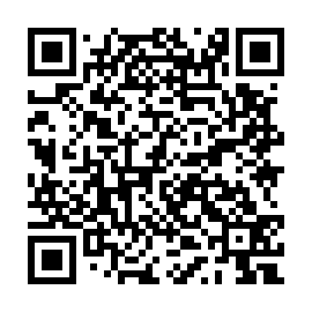 QR code for PTI533