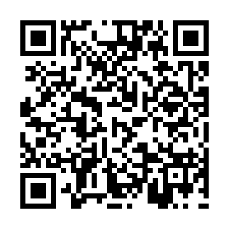 QR code for PTN393