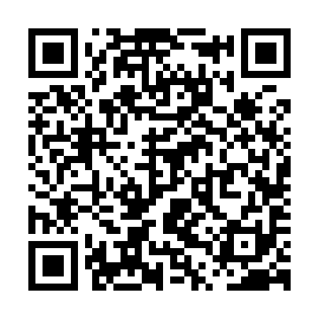 QR code for PTV991