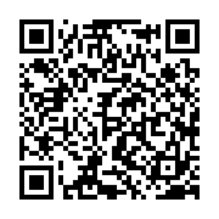 QR code for PTX333