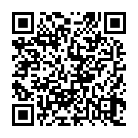 QR code for PTZ938