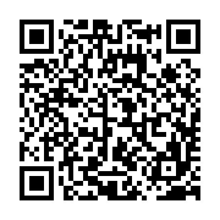 QR code for PUB196