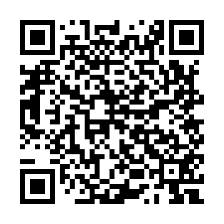 QR code for PUG951