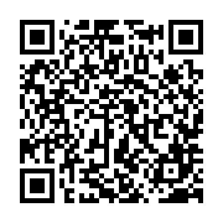 QR code for PUN386