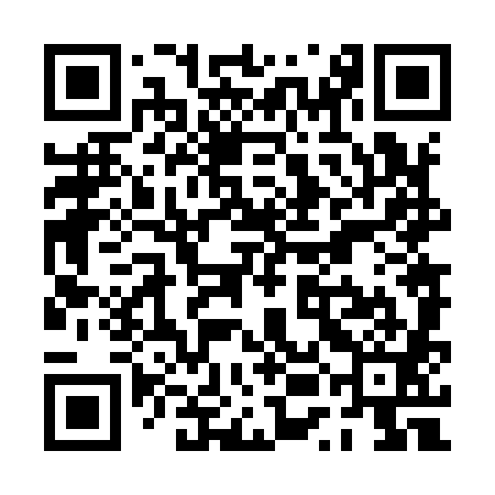 QR code for PUN981