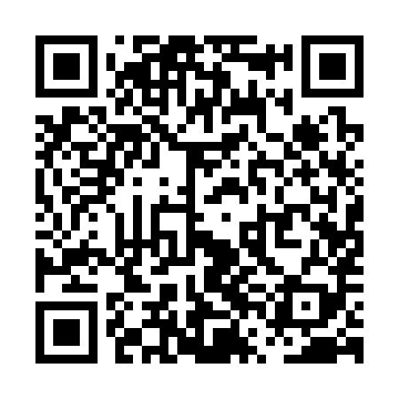 QR code for PVA389