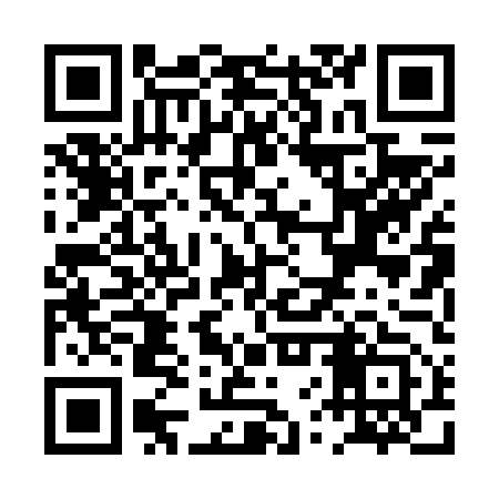 QR code for PVP653