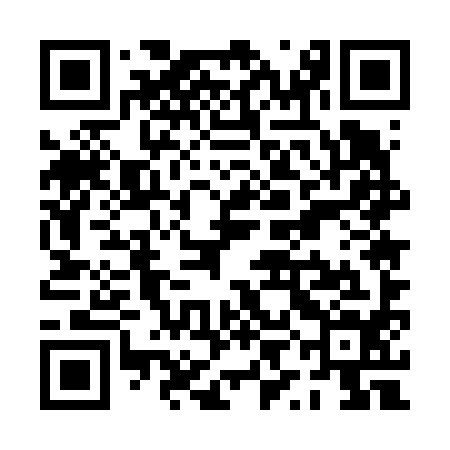 QR code for PYE694