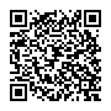 QR code for PYG303