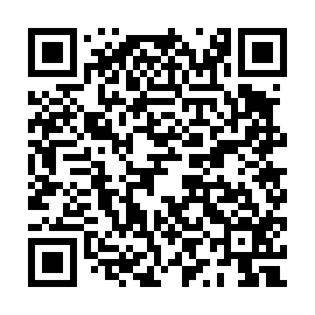 QR code for PYG416