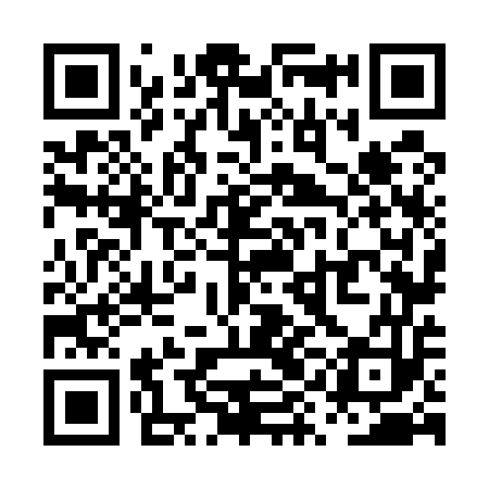 QR code for PYN553