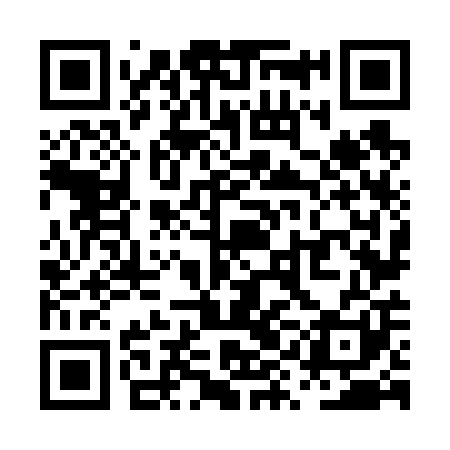 QR code for PYN601