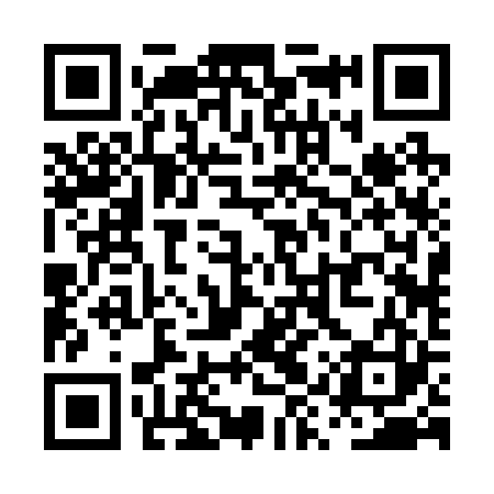 QR code for PYR223