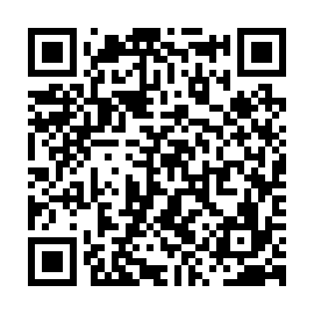 QR code for PYS236