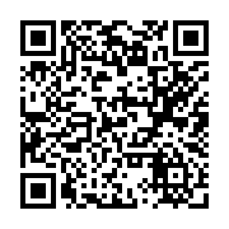 QR code for PYS995