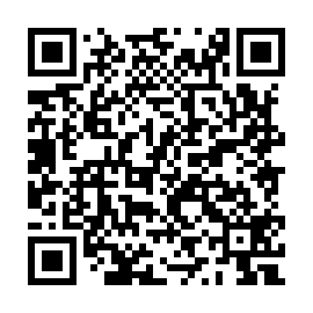QR code for PYX919