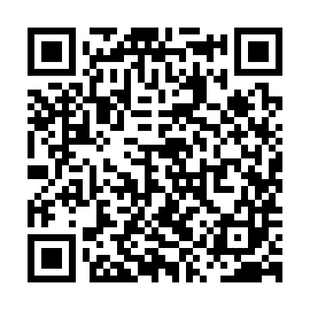 QR code for PYY383