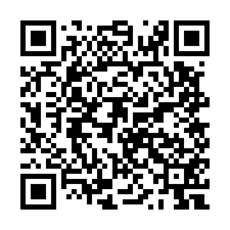 QR code for PZG551