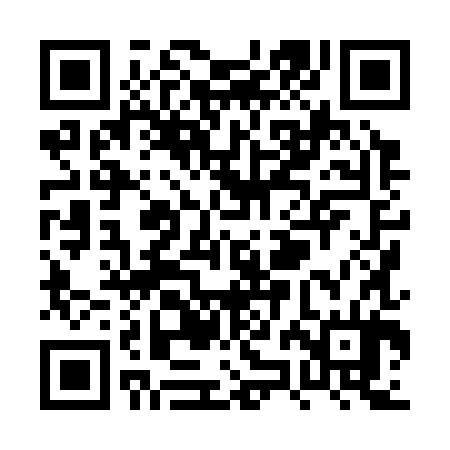QR code for PZH384