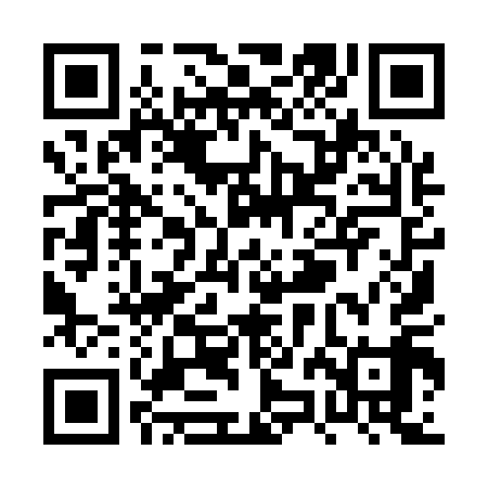 QR code for PZI119