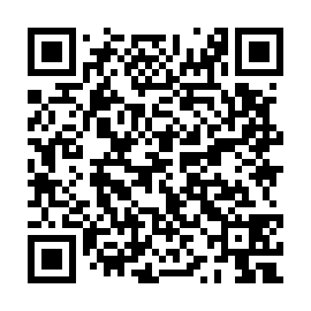 QR code for PZI538