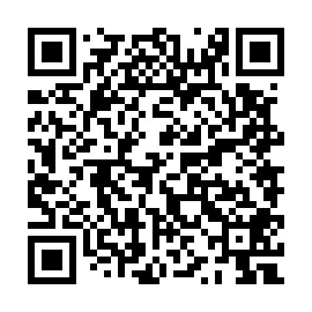 QR code for PZN508