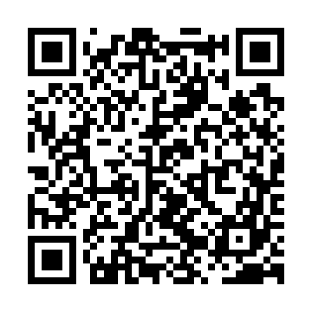 QR code for PZS767