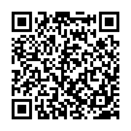 QR code for PZV394