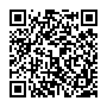 QR code for QAG696