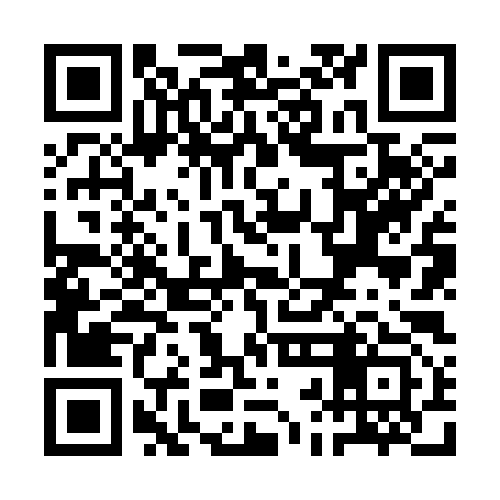 QR code for QBN393