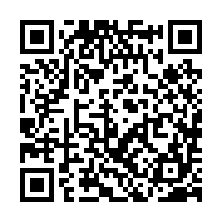 QR code for QCX294