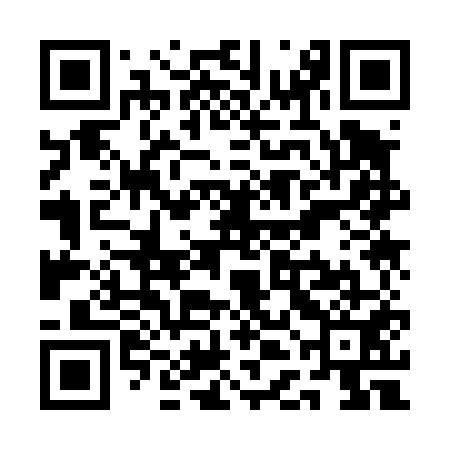QR code for QDK451