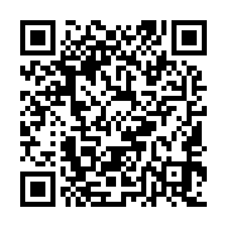 QR code for QDM951