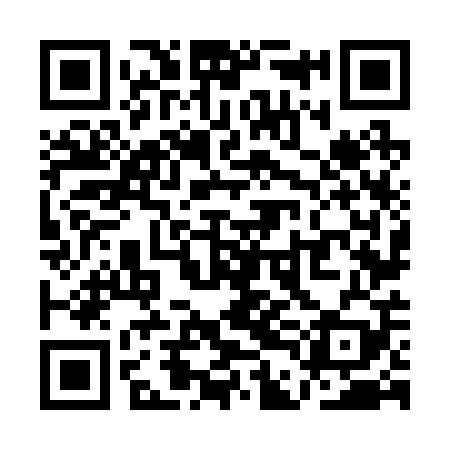 QR code for QDN209