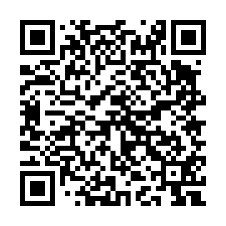 QR code for QDU411