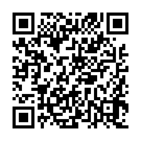QR code for QDZ498