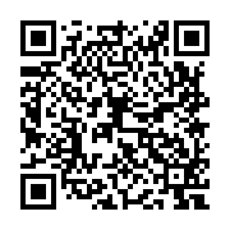 QR code for QFA993