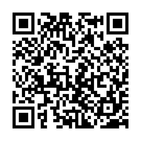 QR code for QFG294