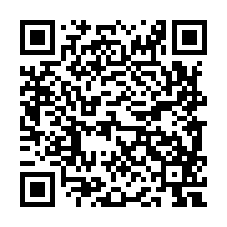 QR code for QFL987