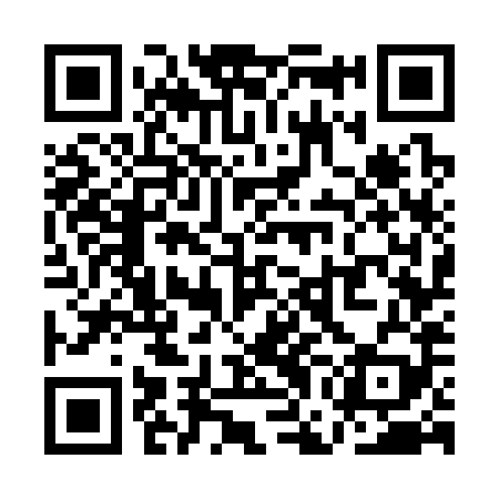 QR code for QGG389