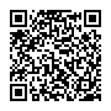 QR code for QGS333