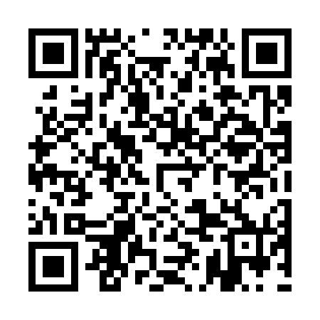 QR code for QID370