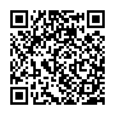 QR code for QID541